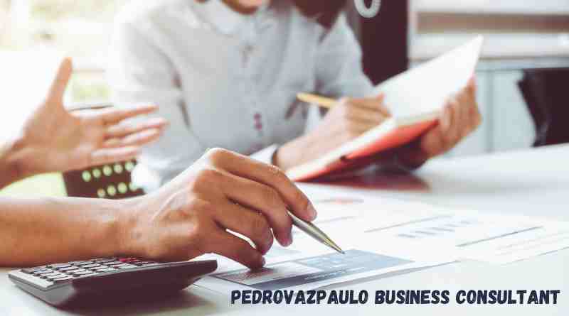 Pedrovazpaulo Business Consultant (3)