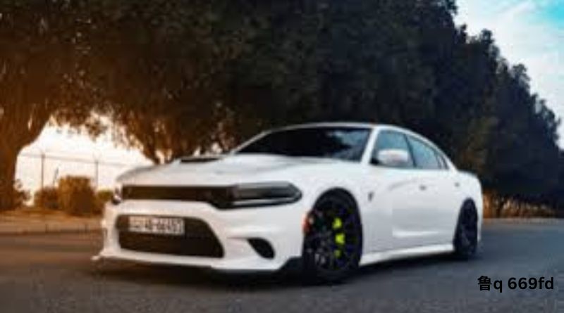 鲁Q 669FD